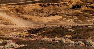 麻将策略如何降低波动（降低牌局波动的麻将策略）